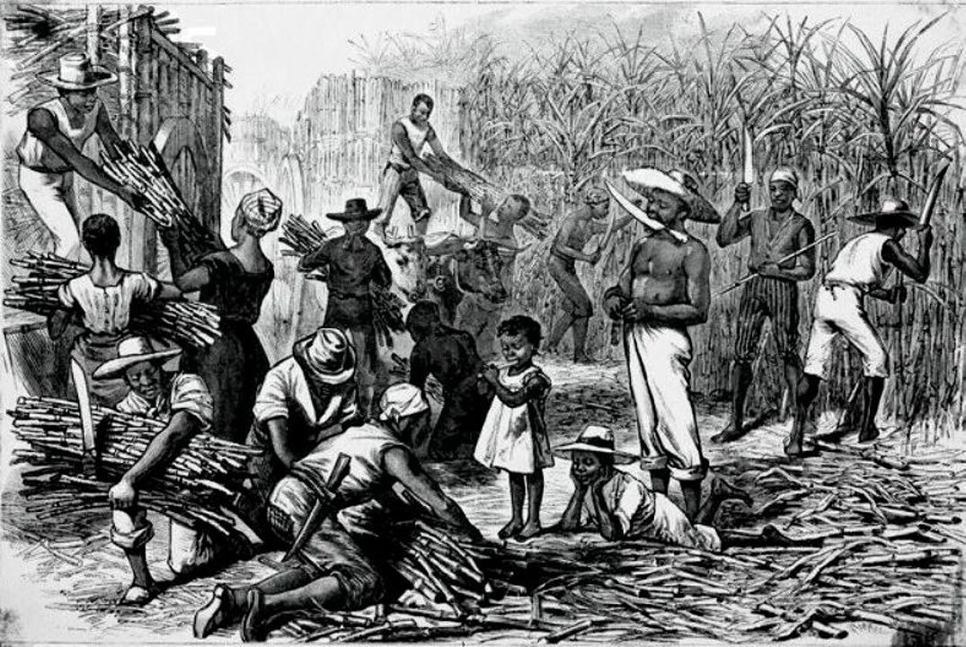 Рабы в бразилии